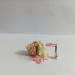 گردنبند و گوشواره به طرح زرافه